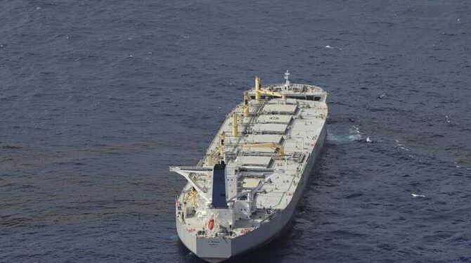 Der Supertanker »A Whale« könnte eine Schlüsselrolle im Kampf gegen die Ölpest im Golf von Mexiko spielen.