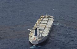 Der Supertanker «A Whale» könnte eine Schlüsselrolle im Kampf gegen die Ölpest im Golf von Mexiko spielen.