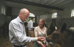 Er mag nicht nur Pferdestärken, sondern auch Pferdchen: Dieter Zetsche, Vorstandsvorsitzender der Daimler AG, macht bei den Marb