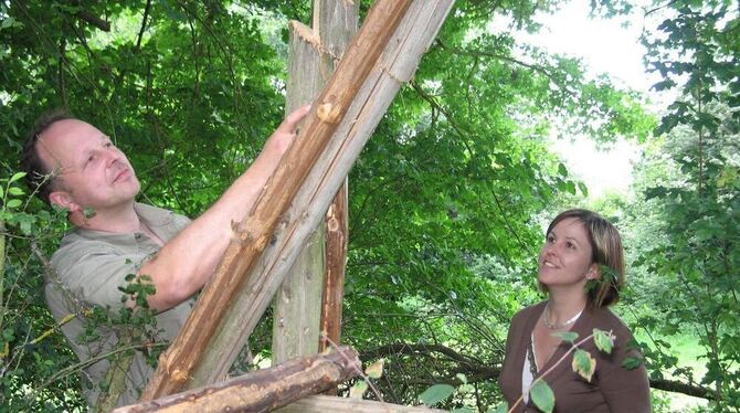 Der Jagdpächter hat die Kanzel mit zusätzlichen Streben gesichert, sodass Stefan Brunner und Marina Aufrecht die durchgesägten S Der Jagdpächter hat die Kanzel mit zusätzlichen Streben gesichert, sodass Stefan Brunner und Marina Aufrecht die durchgesägten S