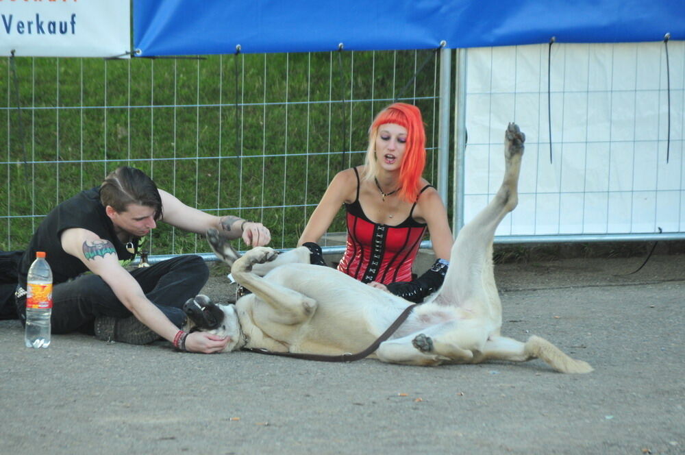 27. Umsonst und Draußen Festival Mössingen