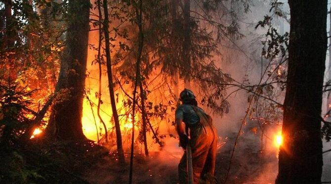 Hunderttausende Helfer versuchen, die verheerenden Waldbrände in Russland einzudämmen.
