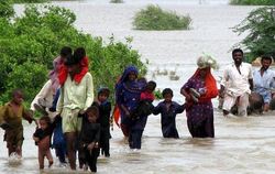 Familien fliehen vor dem Hochwasser in der pakistanischen Provinz Sindh.