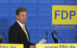 Der FDP-Vorsitzende Guido Westerwelle muss eine Entscheidung treffen.