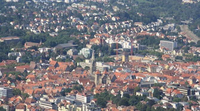 Der Aufstieg lohnt sich: Von der Burgruine der Achalm aus hat man einen tollen Ausblick über Reutlingen. FOTO: WEID