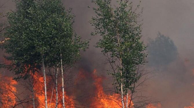 Waldbrände in Russland: Die Flammen sind neu entbrannt. (Archivbild)