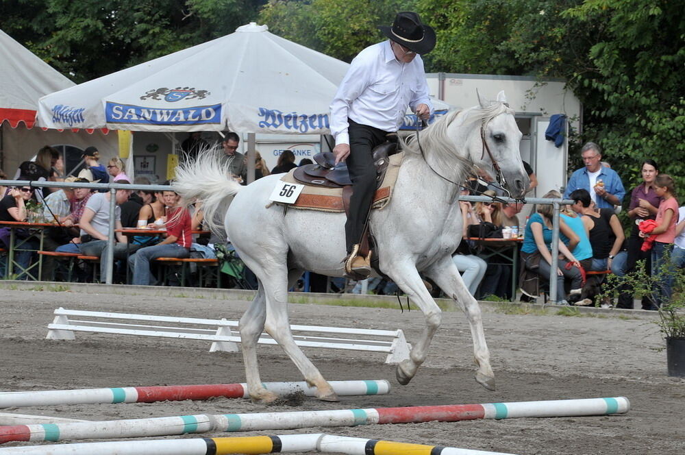 Westernreiten in Sondelfingen September 2010