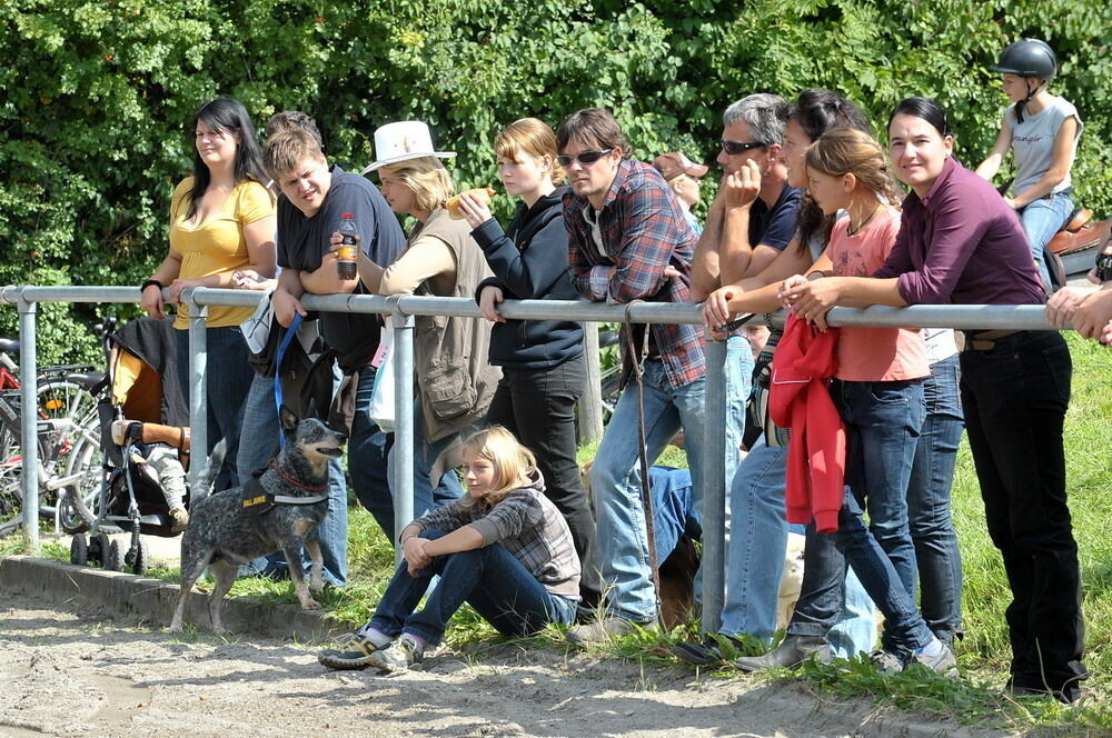 Westernreiten in Sondelfingen September 2010