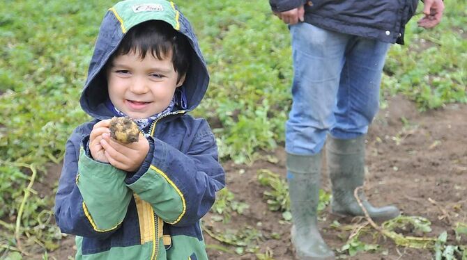 Kartoffelfest St.Johann 2010