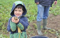 Kartoffelfest St.Johann 2010