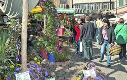 So ruhig ging's selten zu: An den vier Tagen kamen nach Angaben der Veranstalter insgesamt rund 150 000 Besucher.  FOTO: NIETHAM