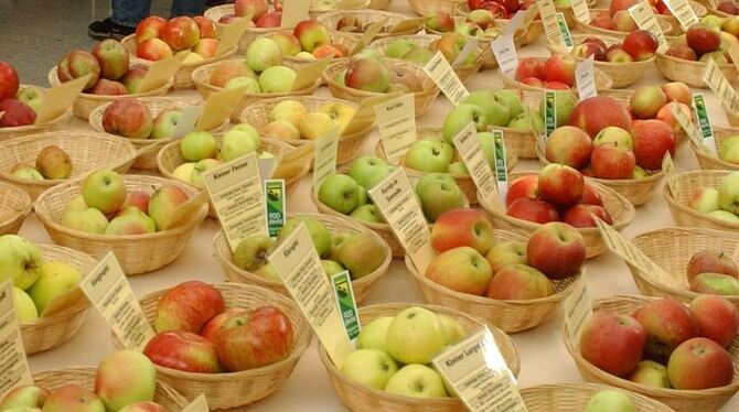 Alles, was man über Äpfel, Birnen und Co. wissen muss: Eine große Obstausstellung informiert am Sonntag in der Listhalle. FOTO: