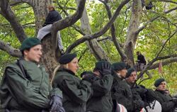 Stuttgart 21-Gegner sitzen im Stuttgarter Schlossgarten in Stuttgart auf Bäumen. Die Polizei reagierte auf die neuen Proteste