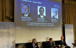 Lars Thelen, Staffan Normark und Jan-Erling Bäckvall (v.l.n.r), Mitglieder der Königlichen-Schwedischen Akademie, geben die C