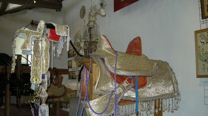 Hinter dem Prunksattel des Königs von Marokko ragt das Skelett Bairactars auf, des Stammvaters der württembergischen Vollblutara