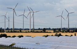 Die erneuerbaren Energien erweisen sich laut einer neuen Studie immer stärker als Jobmotor.