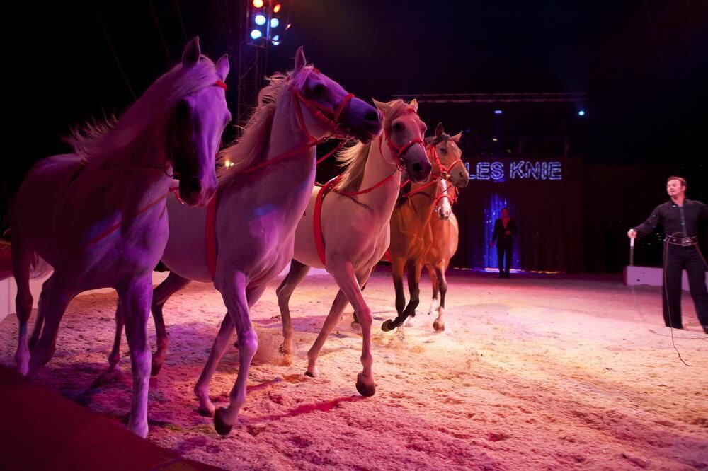 Zirkus Charles Knie Reutlingen Oktober 2010