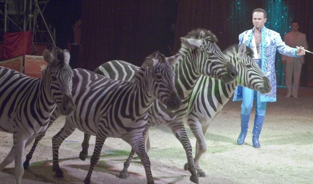 Zirkus Charles Knie Reutlingen Oktober 2010