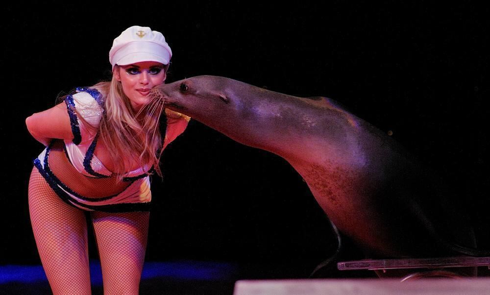 Zirkus Charles Knie Reutlingen Oktober 2010