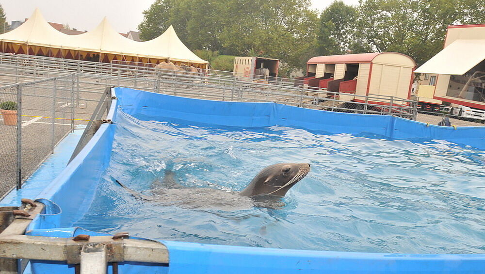 Zirkus Charles Knie Reutlingen Oktober 2010