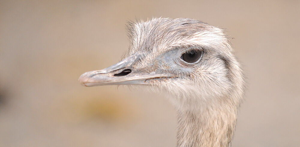 Zirkus Charles Knie Reutlingen Oktober 2010