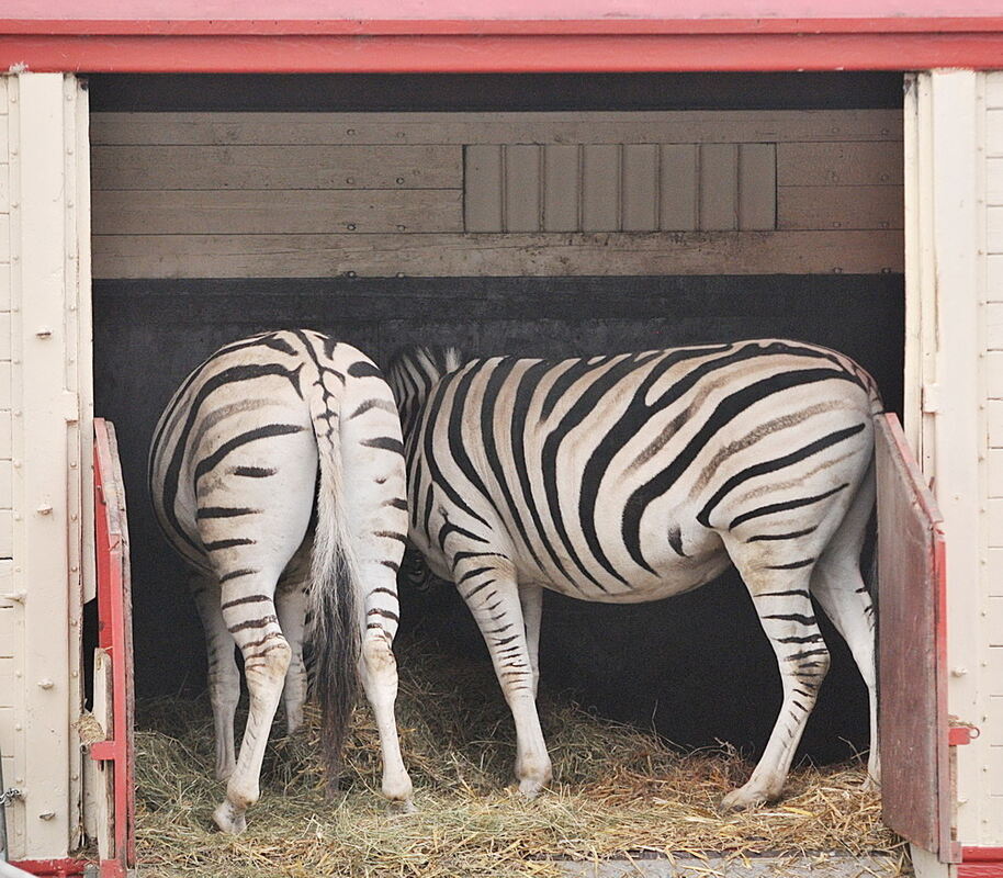 Zirkus Charles Knie Reutlingen Oktober 2010