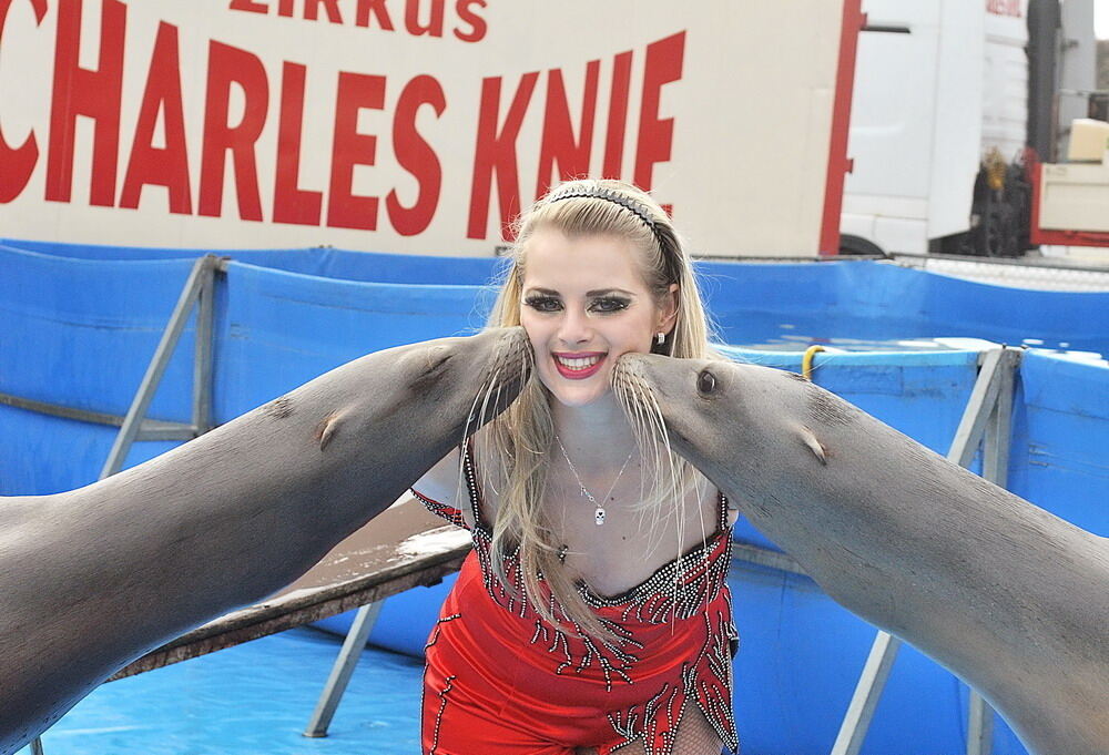 Zirkus Charles Knie Reutlingen Oktober 2010