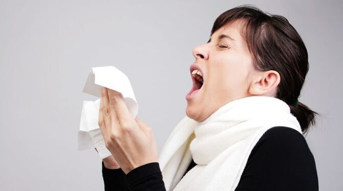 Schlechte Nachricht für Allergiker: Sie müssen eventuell öfter niesen.