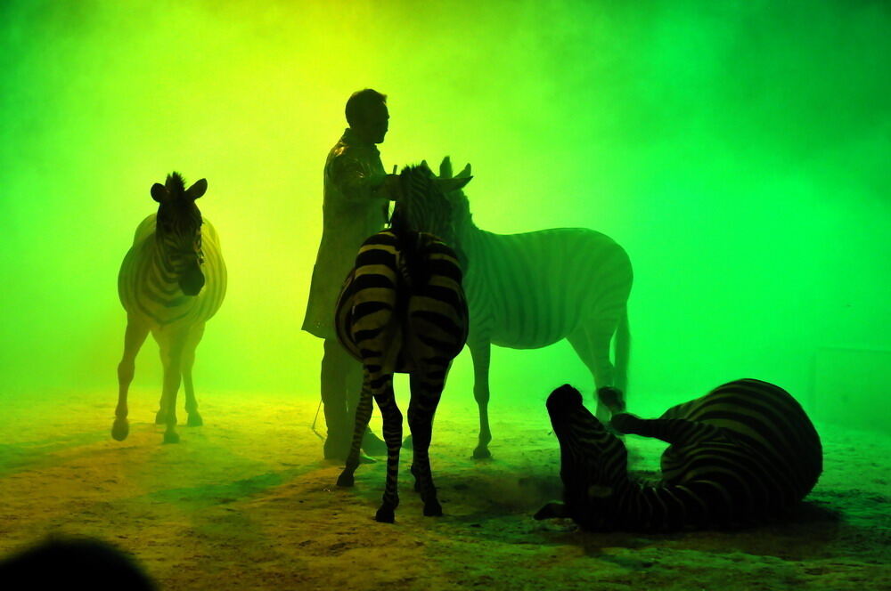 Zirkus Charles Knie Reutlingen Oktober 2010