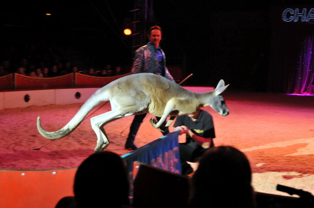 Zirkus Charles Knie Reutlingen Oktober 2010