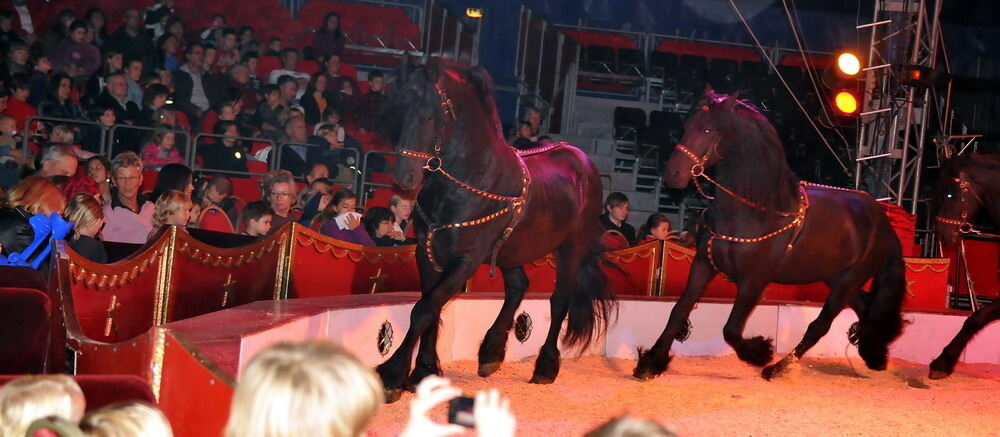 Zirkus Charles Knie Reutlingen Oktober 2010