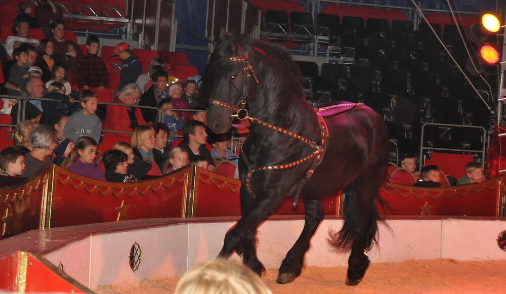 Zirkus Charles Knie Reutlingen Oktober 2010