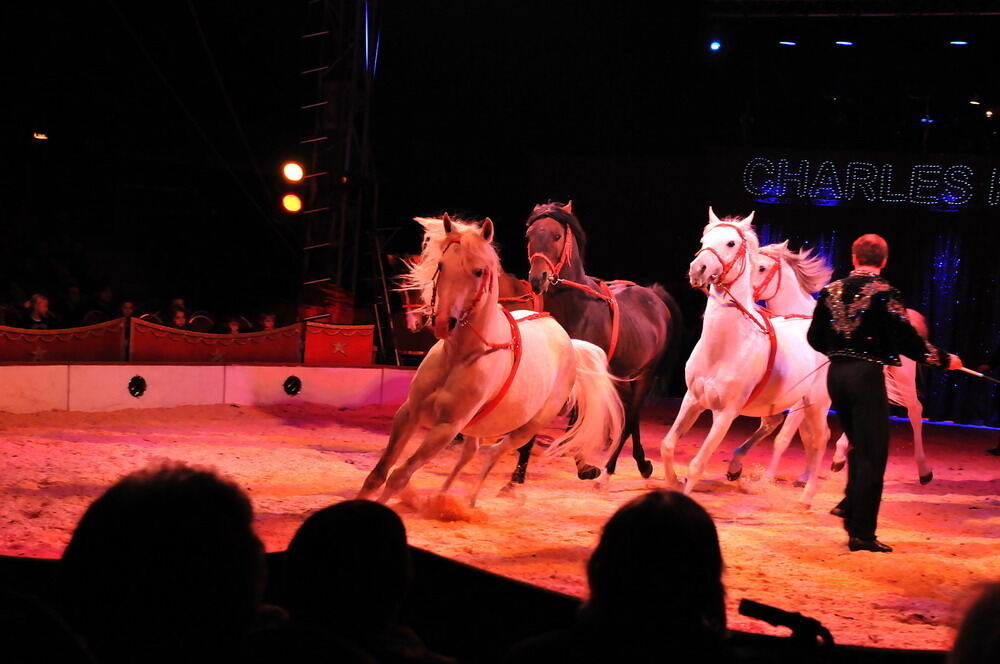 Zirkus Charles Knie Reutlingen Oktober 2010