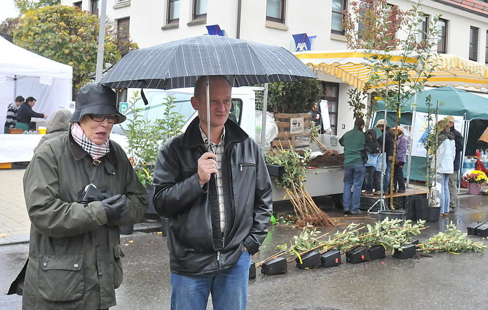 Apfelfest Betzingen Oktober 2010