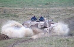 Biotoppflege: Wo 55 Tonnen Panzer die Erde verdichten, können sich ganz schnell wieder Tümpel bilden. GEA-FOTO: DEWALD