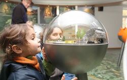 Faszination Alb: Große und kleine Besucher hatten ihren Spaß an den Mitmach-Stationen im neuen Biosphärenzentrum, das am Samstag