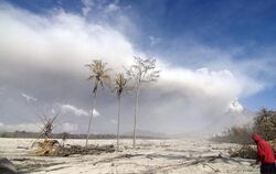 Heiße Asche bedeckt die Umgebung des Merapi. Der Ausbruch hat inzwischen mehr als 240 Tote gefordert. 