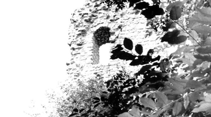 Relikt aus dem Mittelalter: die Burgruine Hohenstein. FOTO: GEA-ARCHIV Relikt aus dem Mittelalter: die Burgruine Hohenstein. FOTO: GEA-ARCHIV