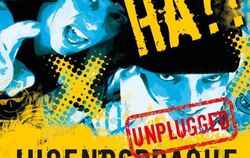 Cover des Buches «Hä? Jugendsprache unplugged 2010»,  erschienen im Langenscheidt Verlag.