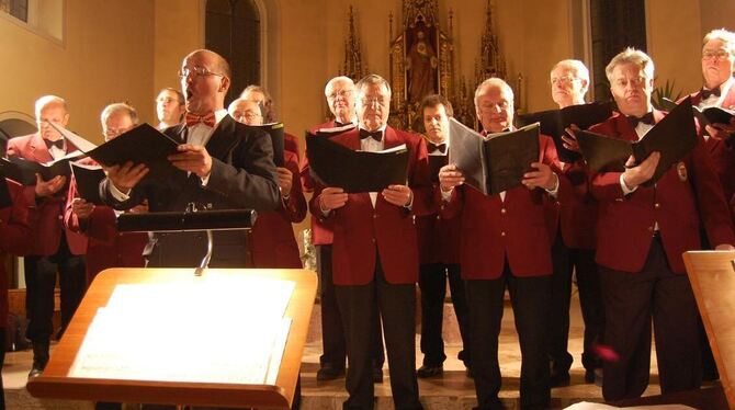 Ein besonderer Genuss war das Adventskonzert der Sängerrunde Hohenstein in der Oberstetter Heilig-Kreuz-Kirche. FOTO: HÄUSSLER