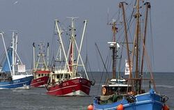2011 sollen in Nordsee und Nordatlantik weniger Fische ins Netz gehen.
