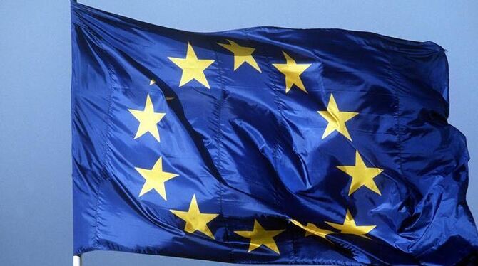 Die Europaflagge ist das Zeichen der EU.