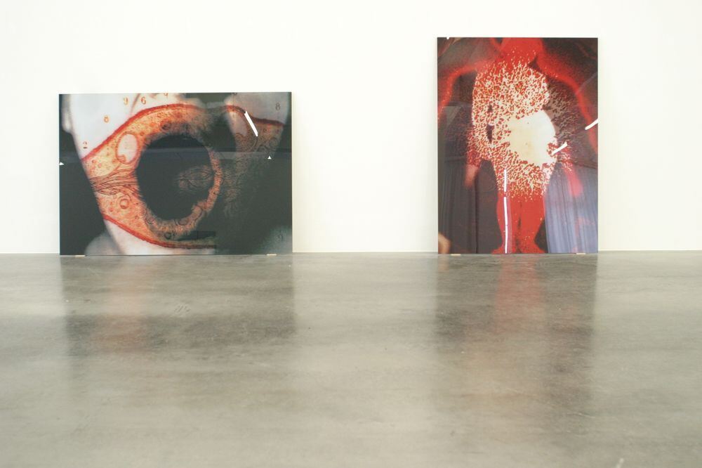 Birgit Hofmann-Birkenhall