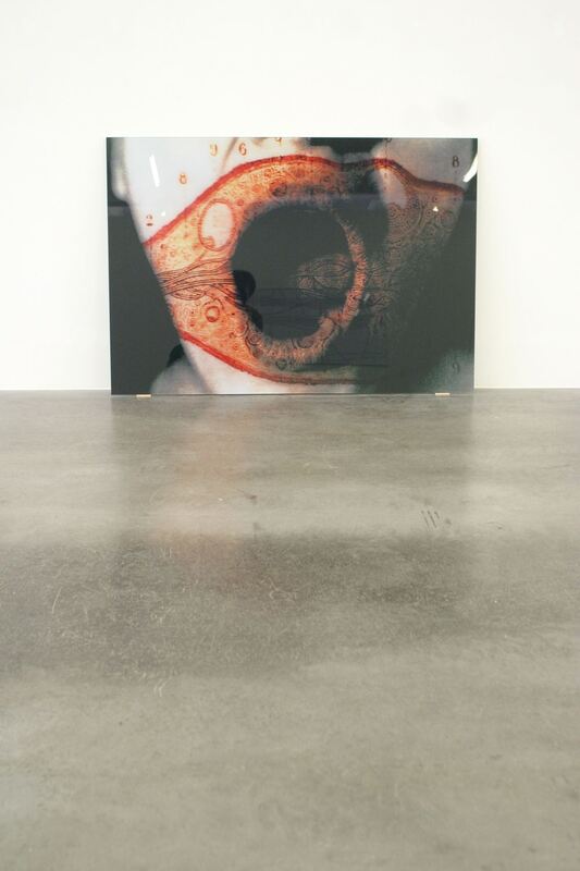 Birgit Hofmann-Birkenhall