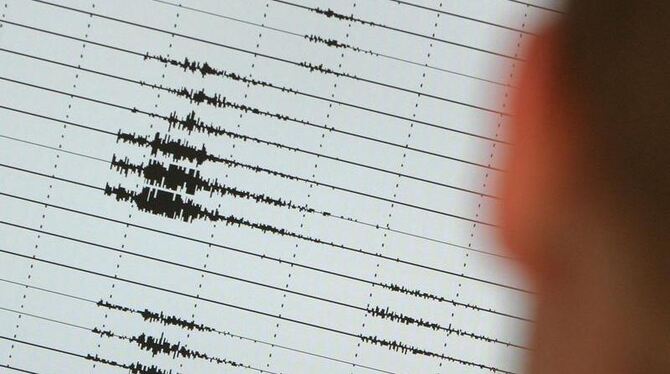 Ein Mann betrachtet ein Seismogramm eines Erdbeben. (Archivbild)