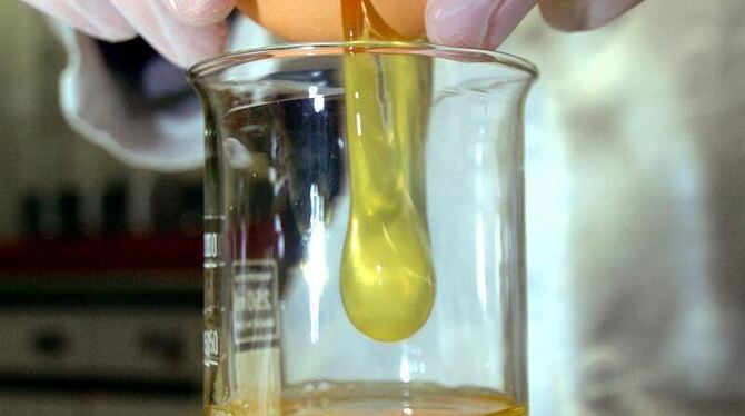 In einer Landwirtschaftlichen Untersuchungs- und Forschungsanstalt werden Eier für Dioxin-Untersuchungen aufgeschlagen.