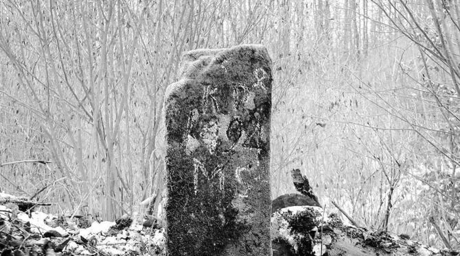 516 Jahre alt, jetzt wieder ins Lot gebracht: Die Markierung an der Grenze der beiden Territorien.  FOTO: PR