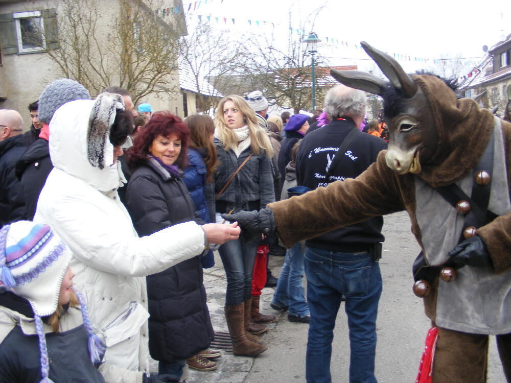 Narrenumzug Wannweil 23. Januar 2011