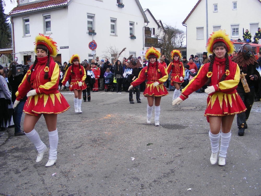 Narrenumzug Wannweil 23. Januar 2011