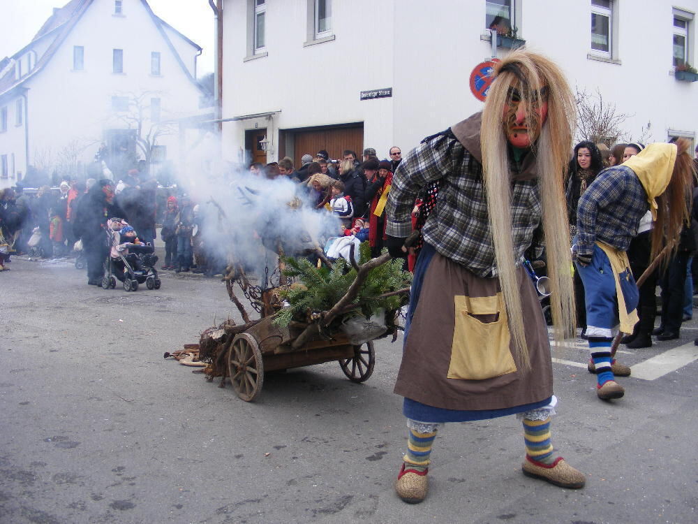 Narrenumzug Wannweil 23. Januar 2011
